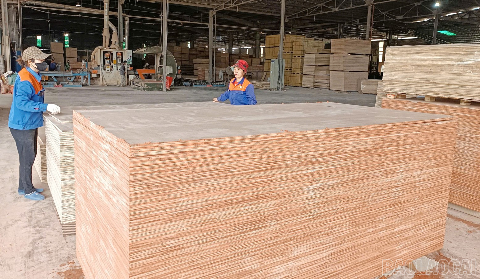 Dòng vốn tín dụng giúp các doanh nghiệp mở rộng quy mô sản xuất, kinh doanh. baolaocai-br_m1.jpg