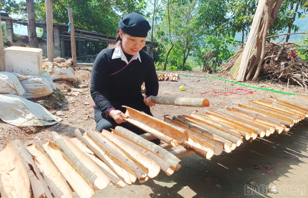 Gia đình chị Bàn Thị Lương, thôn Thẩm Phúc làm giàu với mô hình dịch vụ ăn uống và trồng quế.