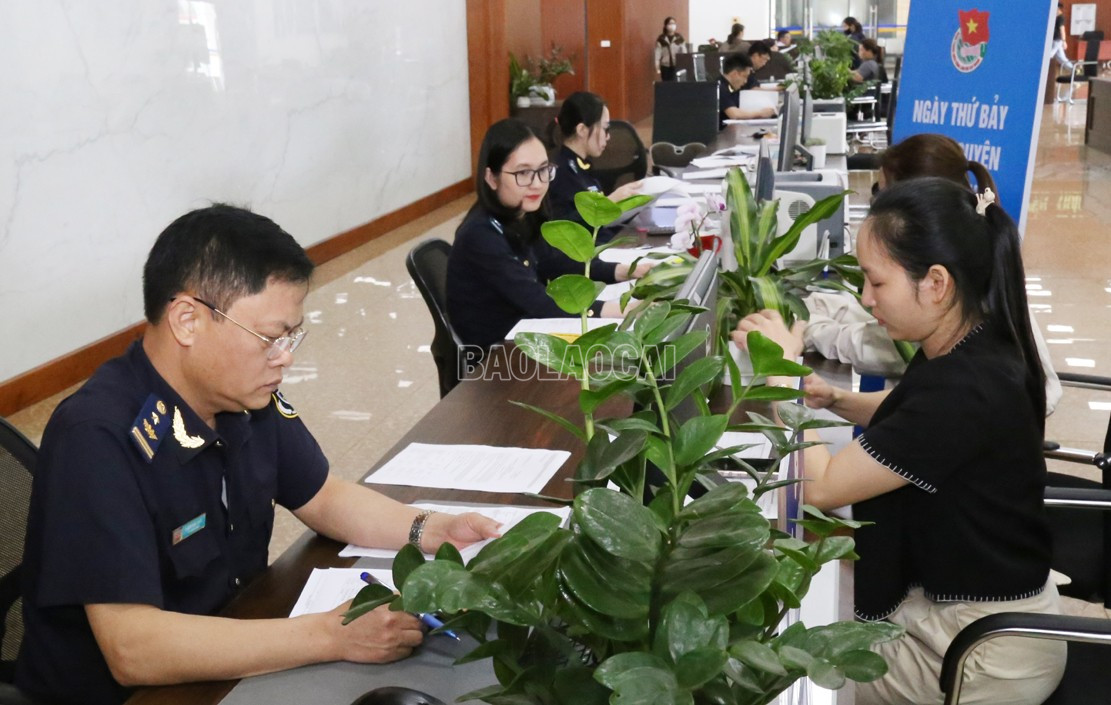 Làm thủ tục hải quan cho doanh nghiệp. baolaocai-c_lc6.jpg