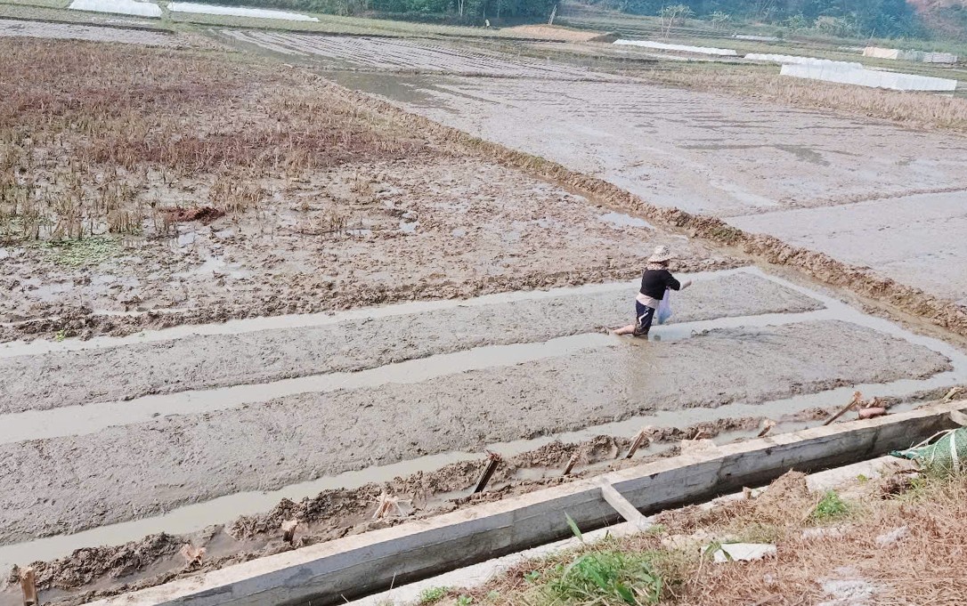 Cán bộ ngành chức năng kiểm tra kênh mương. l1.jpg