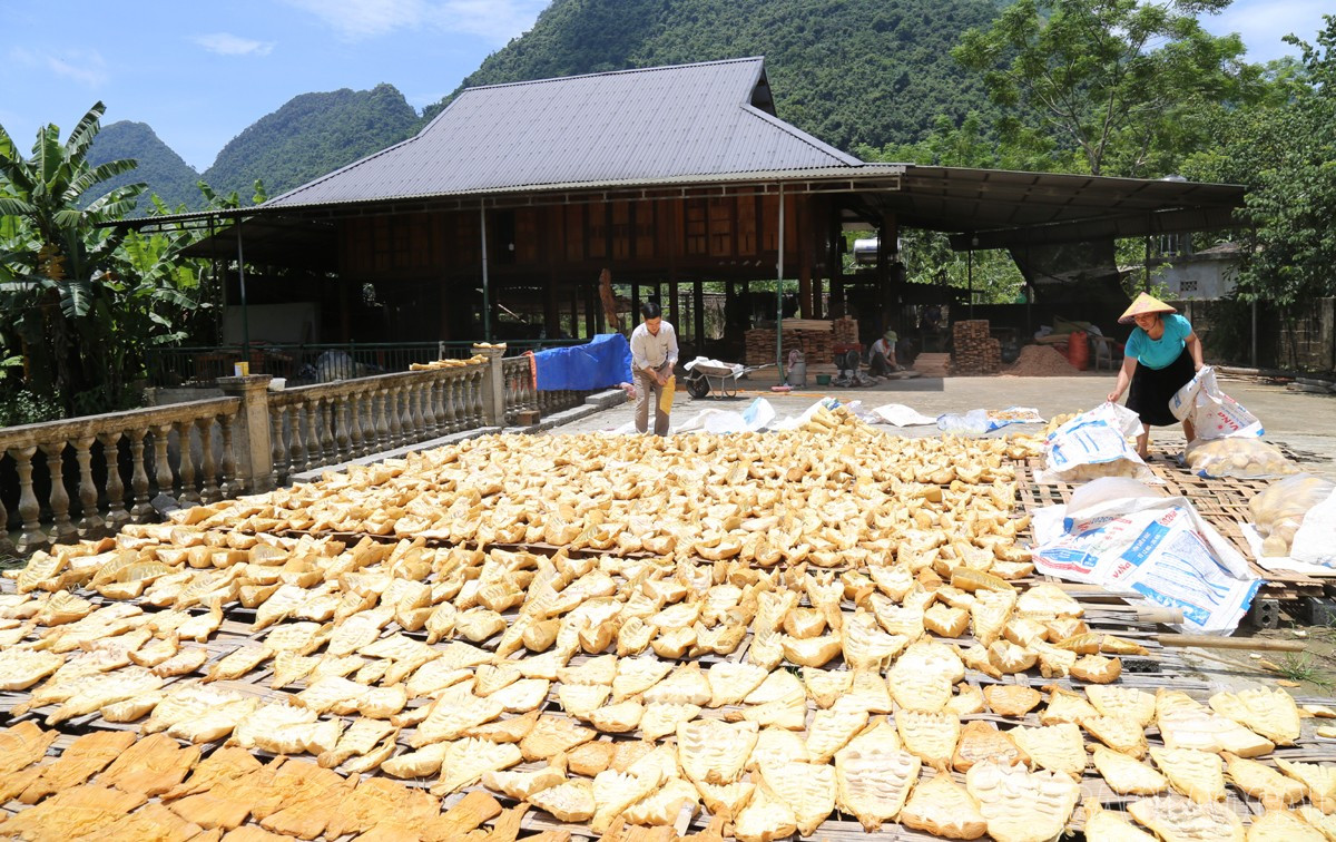 Bønder i Lao Cai konkurrerer entusiastisk om arbeidskraft og produksjon, noe som bidrar til økt inntekt og lokal økonomisk utvikling. baolaocai-br_nd8.jpg