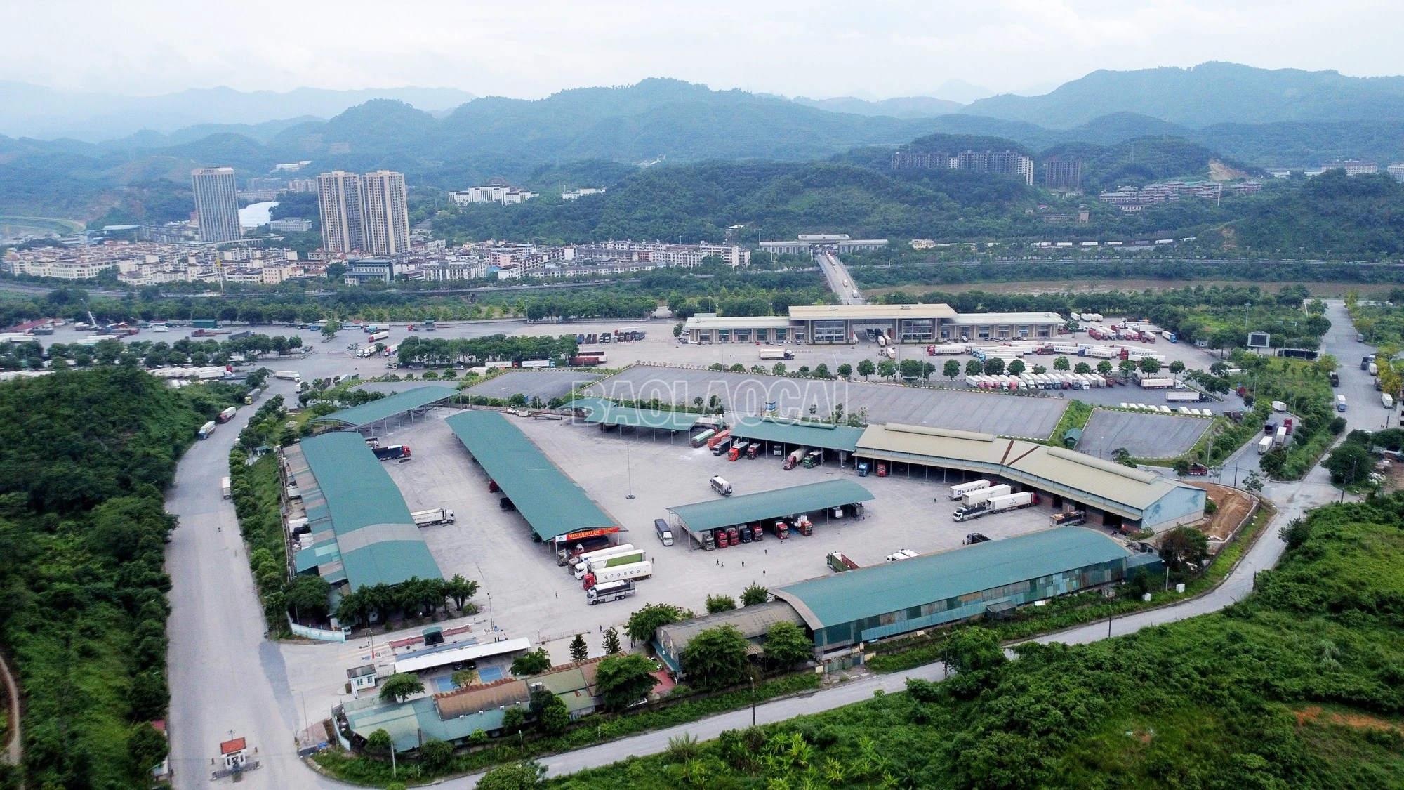 baolaocai-c_dji-0658.jpg