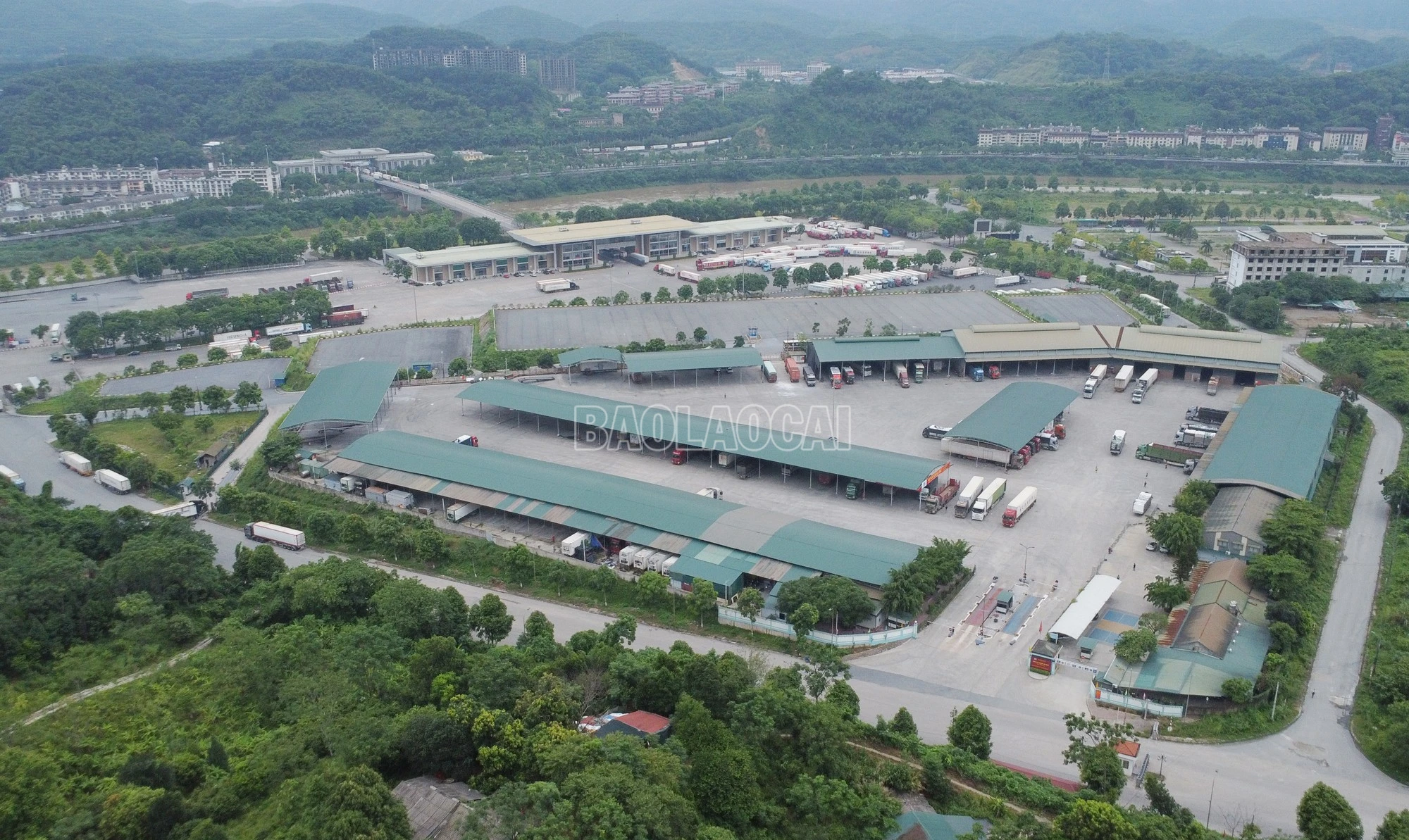 baolaocai-c_dji-0651.jpg