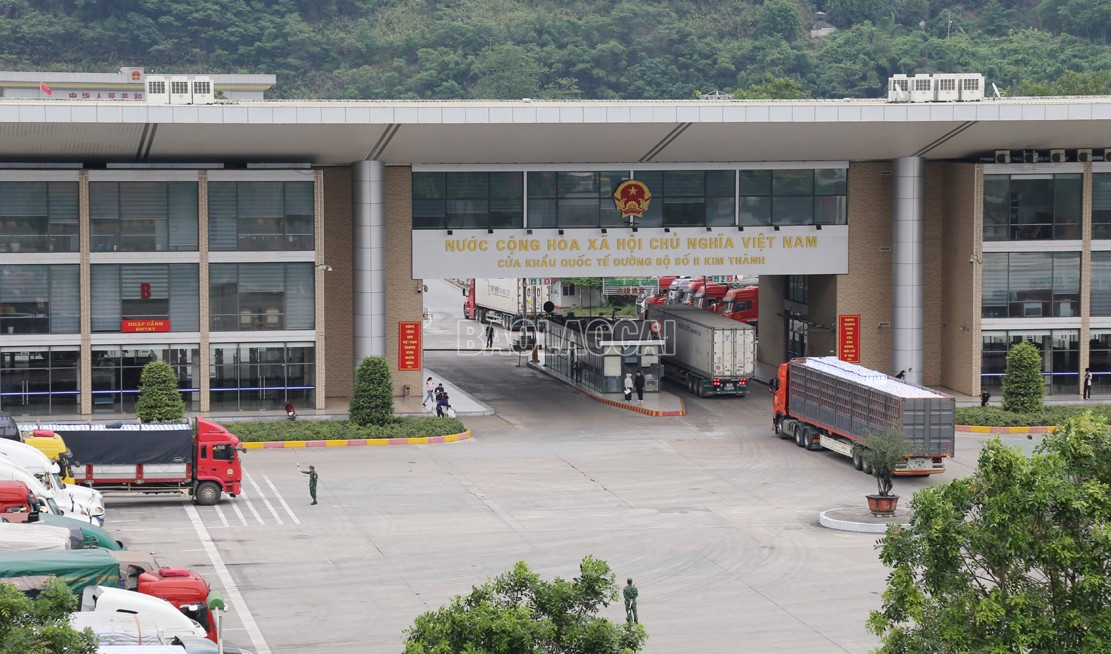 Hầu hết xe chở vải thiều xuất khẩu được thông quan ngay trong buổi sáng qua Cửa khẩu Kim Thành. baolaocai-c_h2.jpg