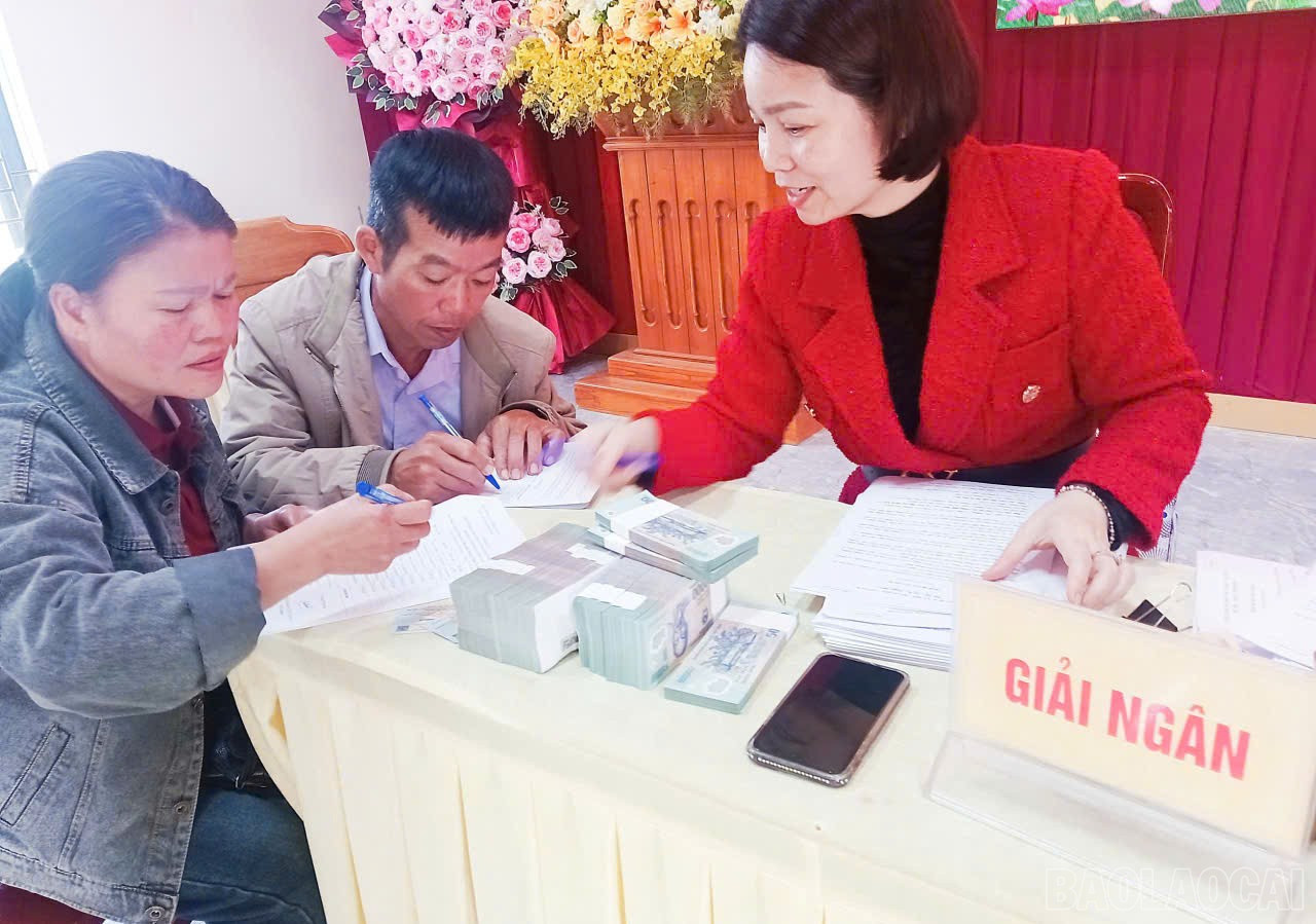 Versement des fonds du Fonds de soutien aux agriculteurs aux membres pour l'investissement dans le développement de la production. baolaocai-br_xa11.jpg