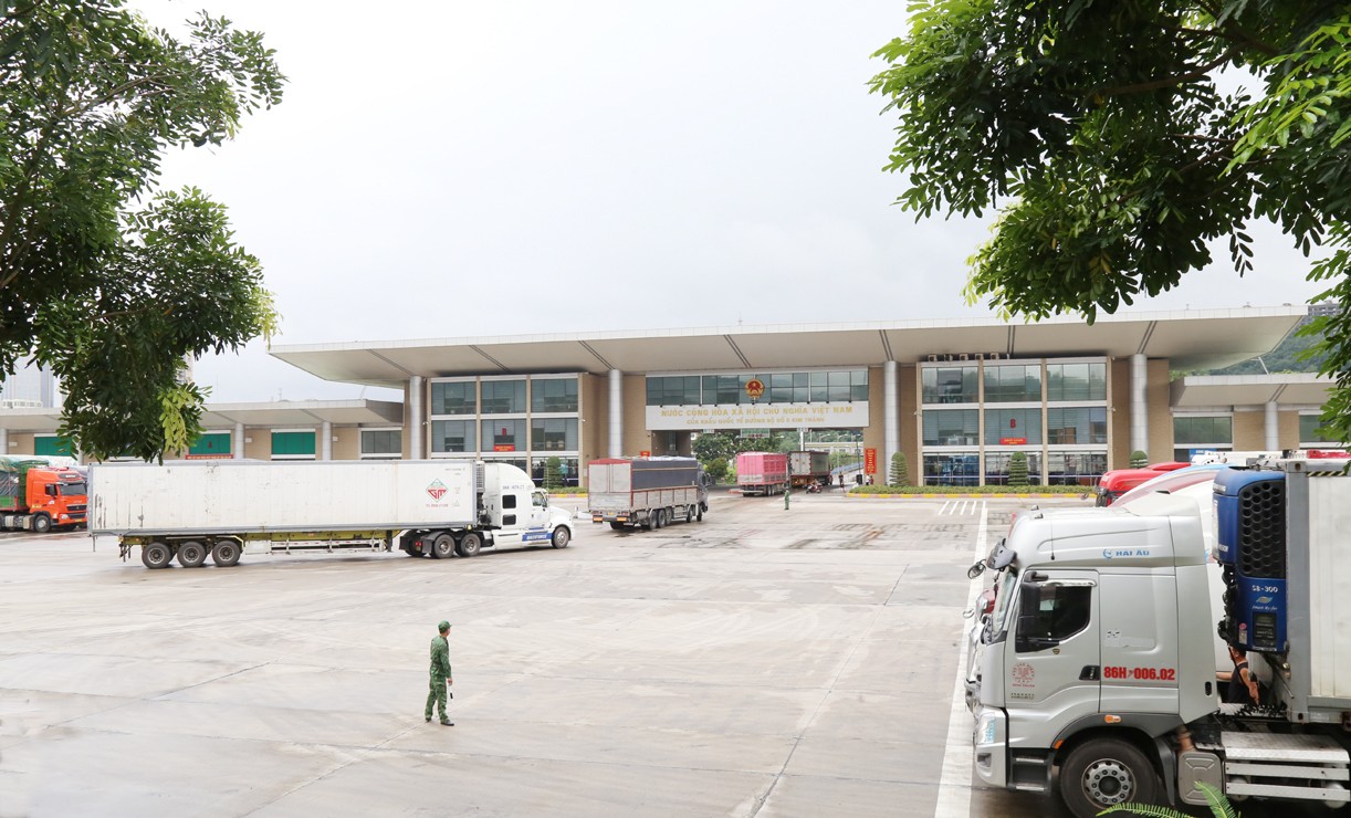 Mặt hàng quả vải tươi được đưa vào luồng ưu tiên xuất khẩu. v4.jpg