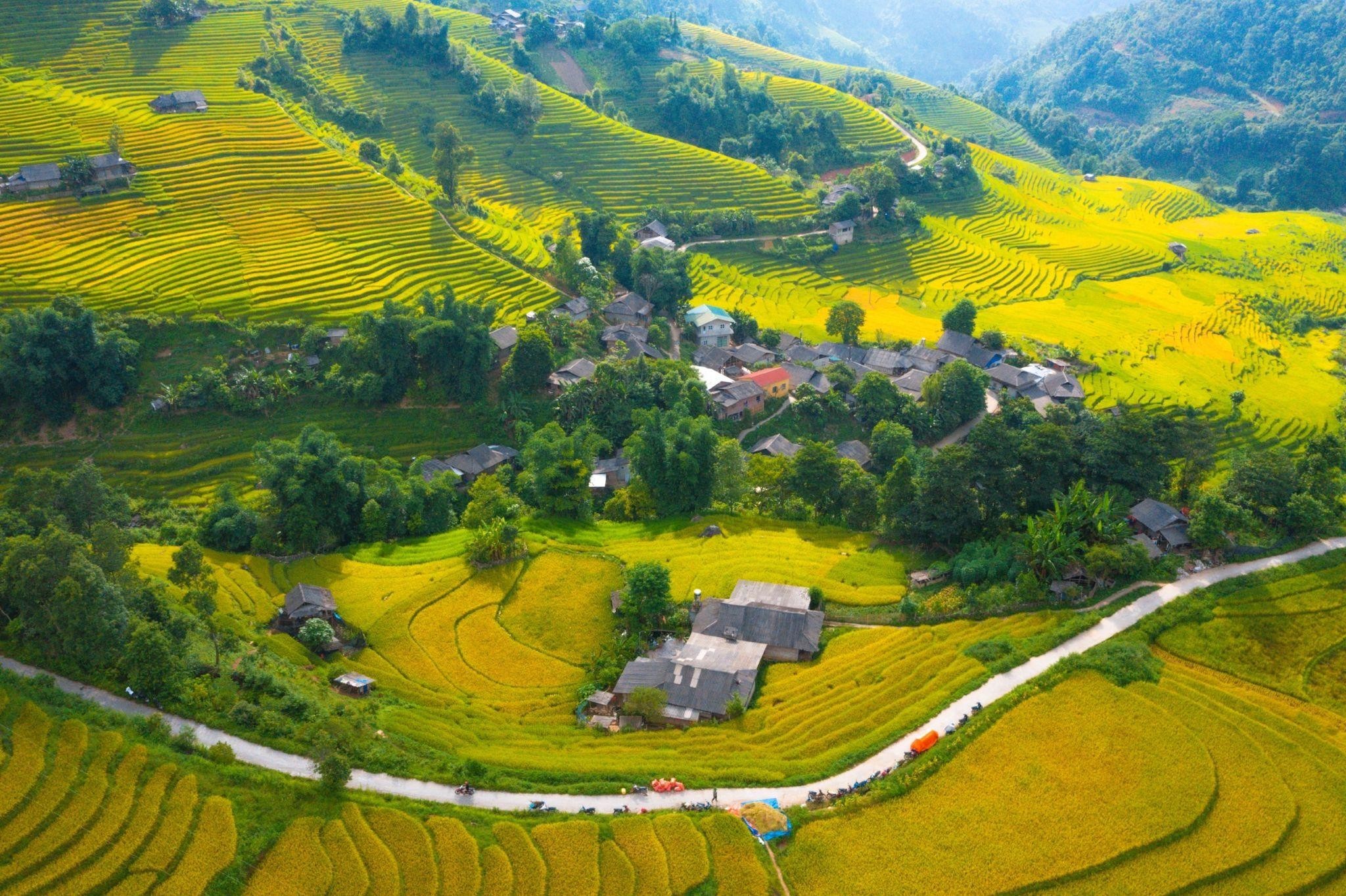 Lĩnh vực nông nghiệp duy trì đà phát triển. image001-7111.jpg