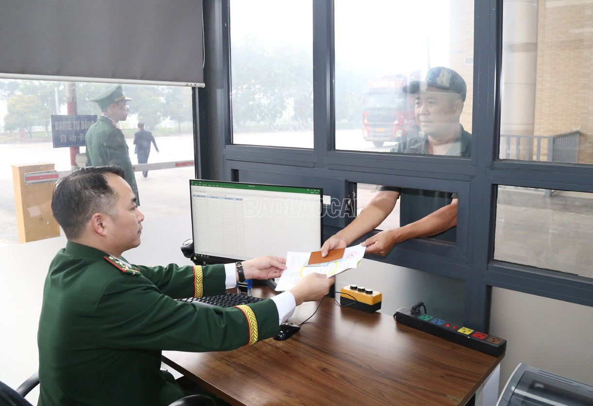 baolaocai-c_t13.jpg
