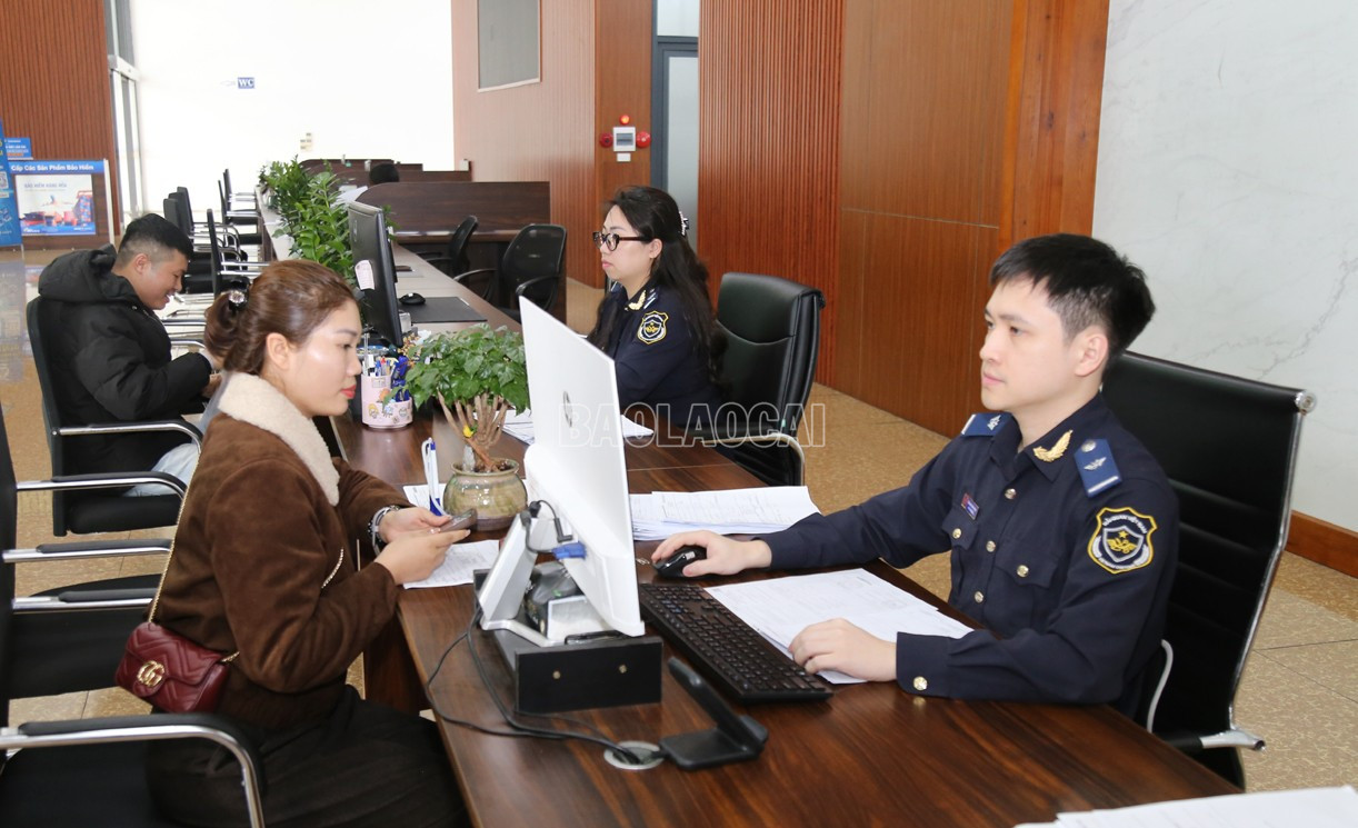 baolaocai-c_t12.jpg