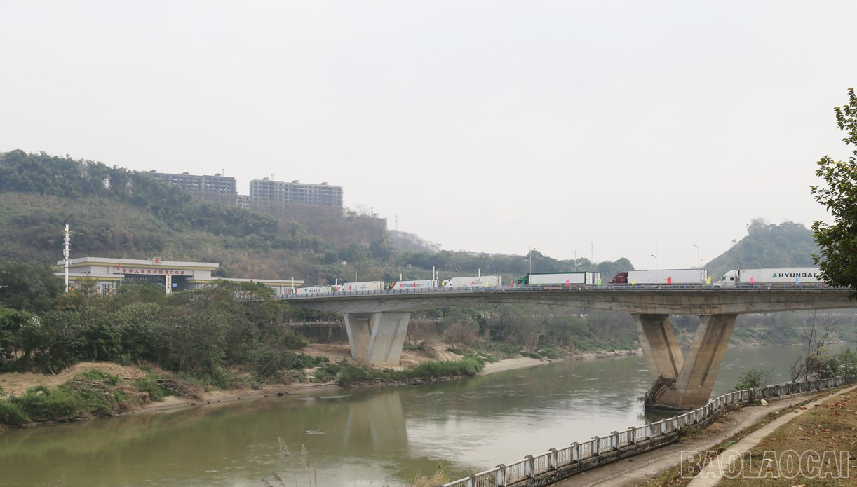 Phương tiện tham gia xuất khẩu hàng hoá. baolaocai-br_ck.jpg