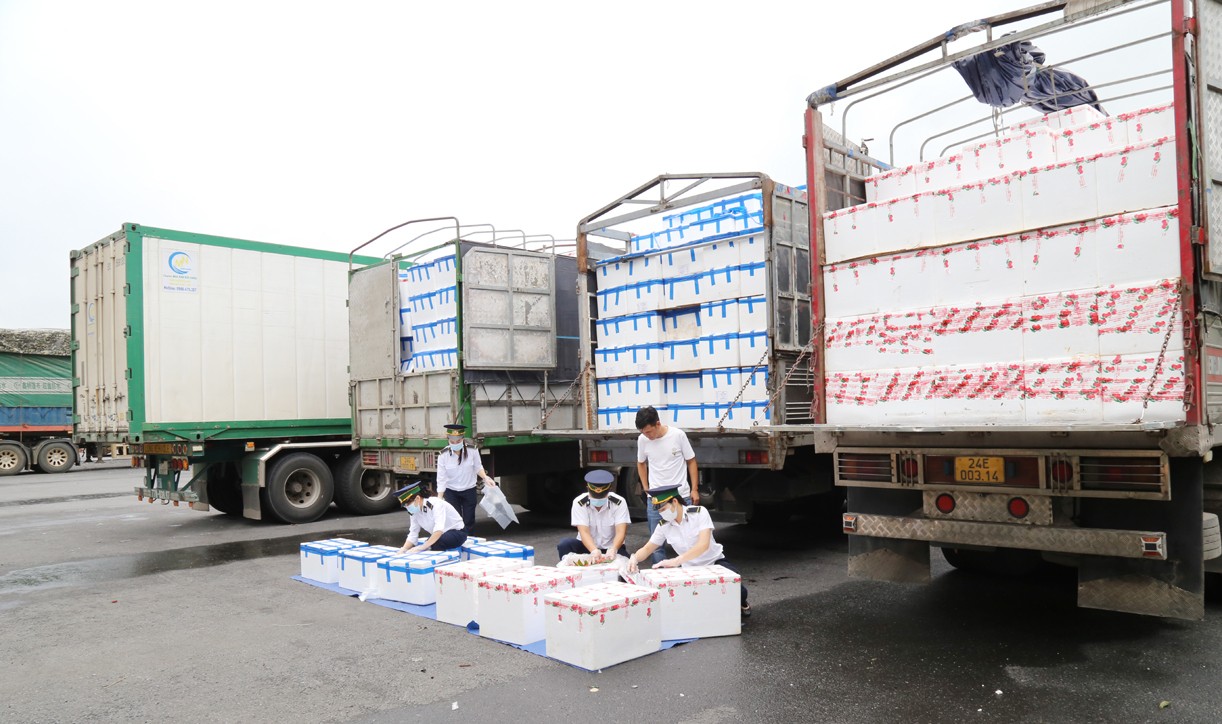 Các lực lượng chức năng kiểm tra hàng hóa trước khi xuất khẩu. q2.jpg