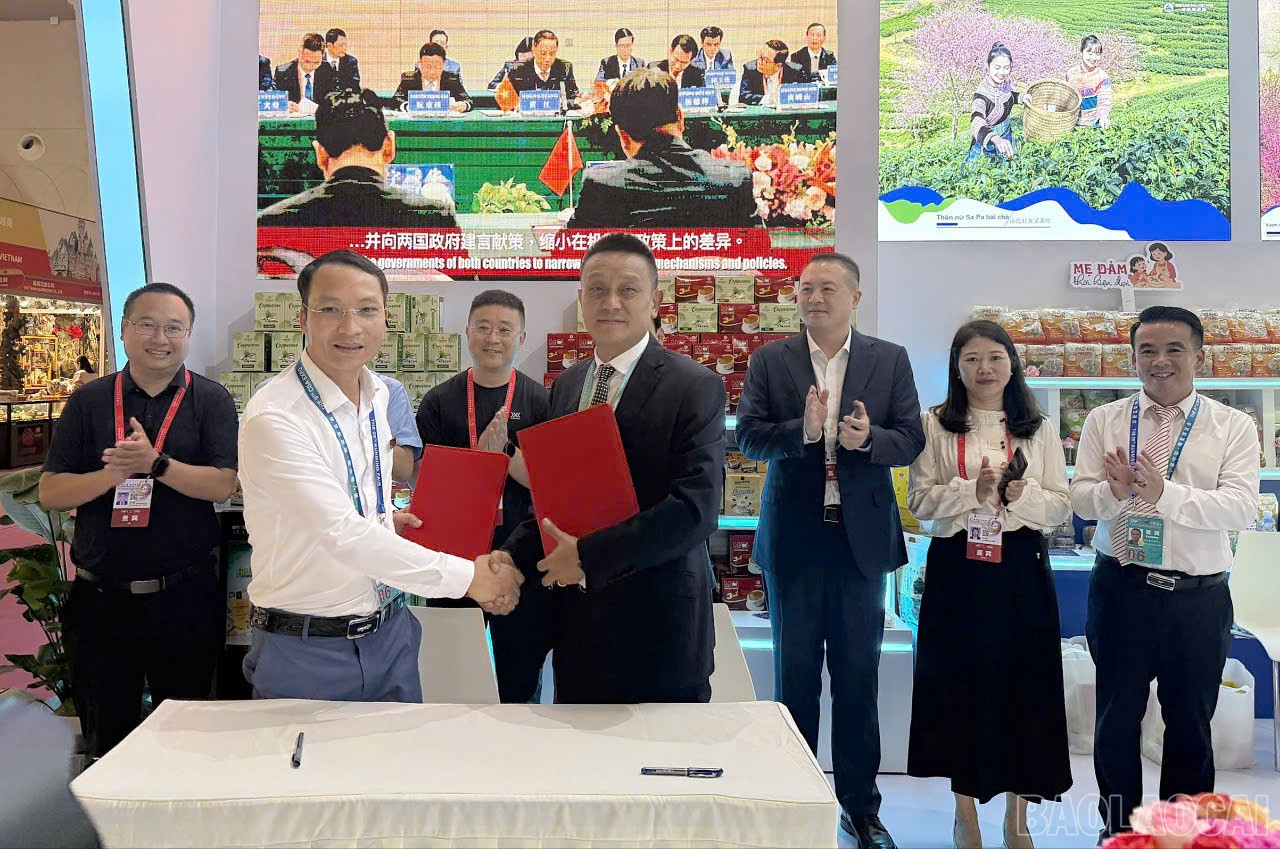 Các doanh nghiệp hai bên ký kết hợp tác. baolaocai-br_a1.jpg