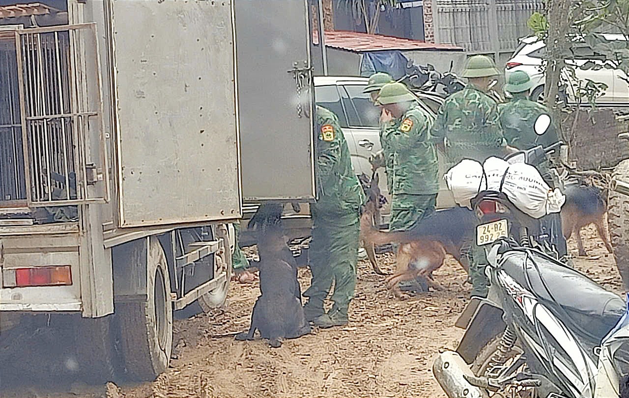 Chó nghiệp vụ của biên phòng được đưa đến tham gia tìm kiếm người mất tích tại Nậm Tông. C3.jpg