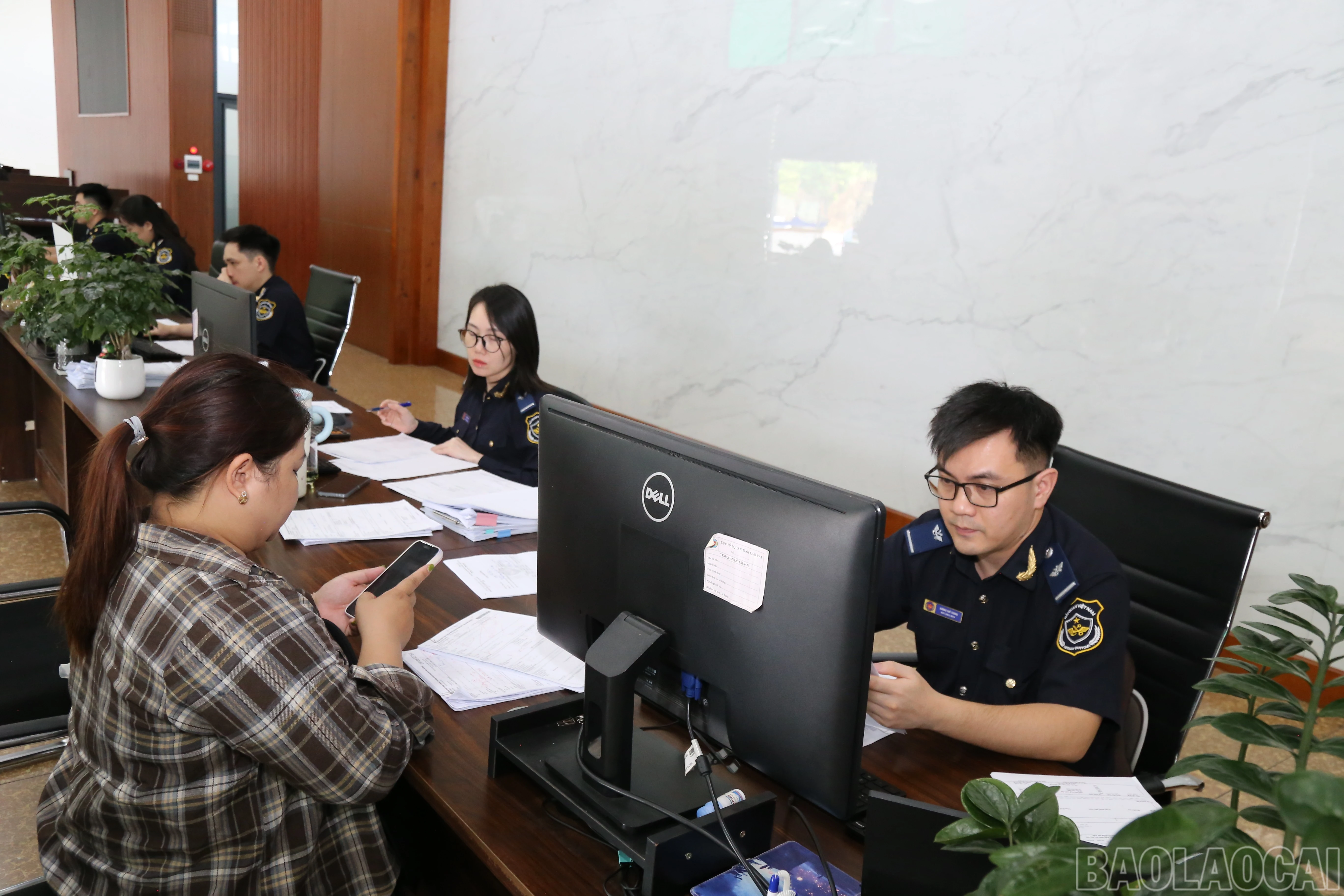 baolaocai-br_img-7444.jpg