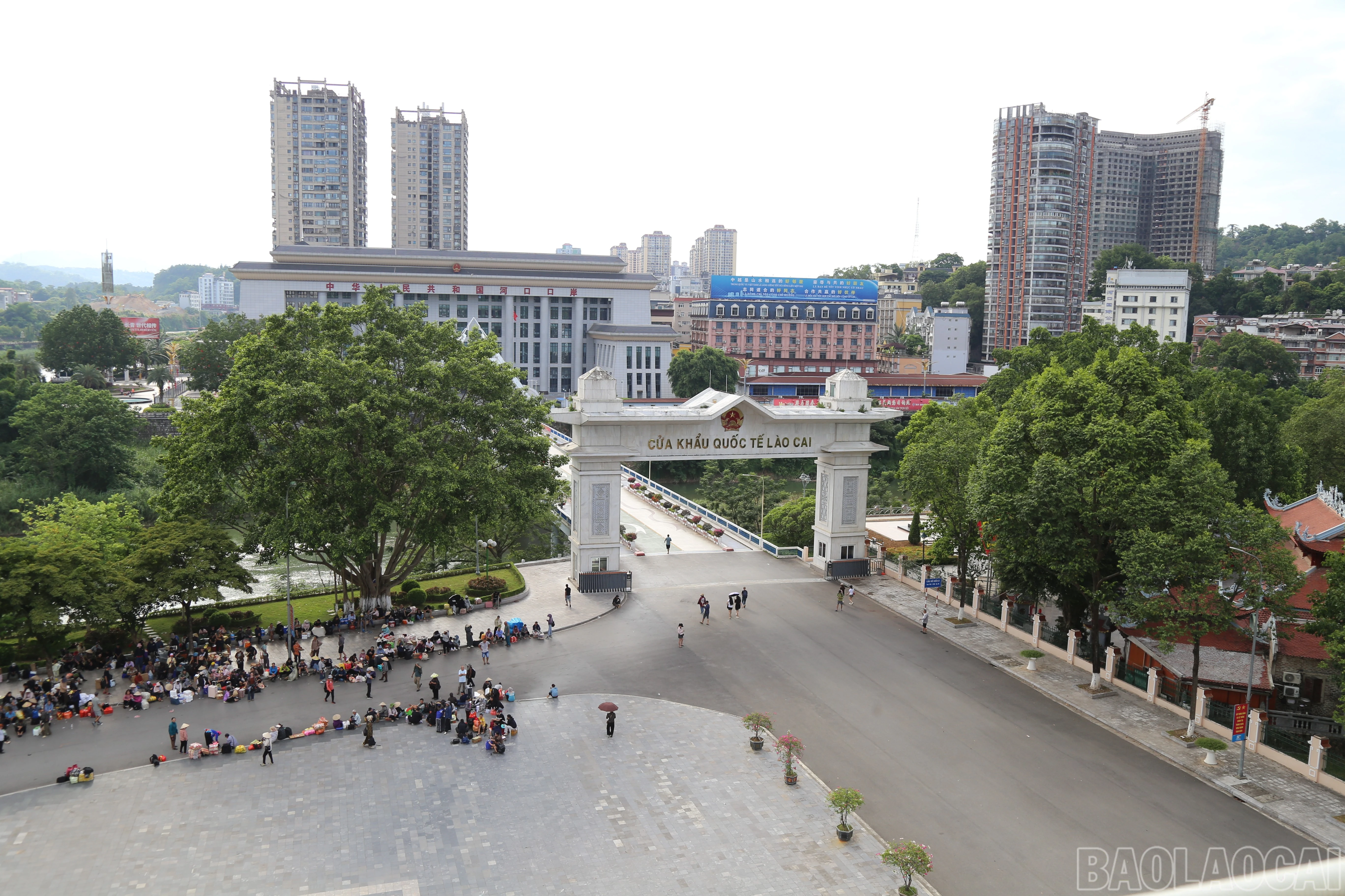 baolaocai-br_img-8969.jpg