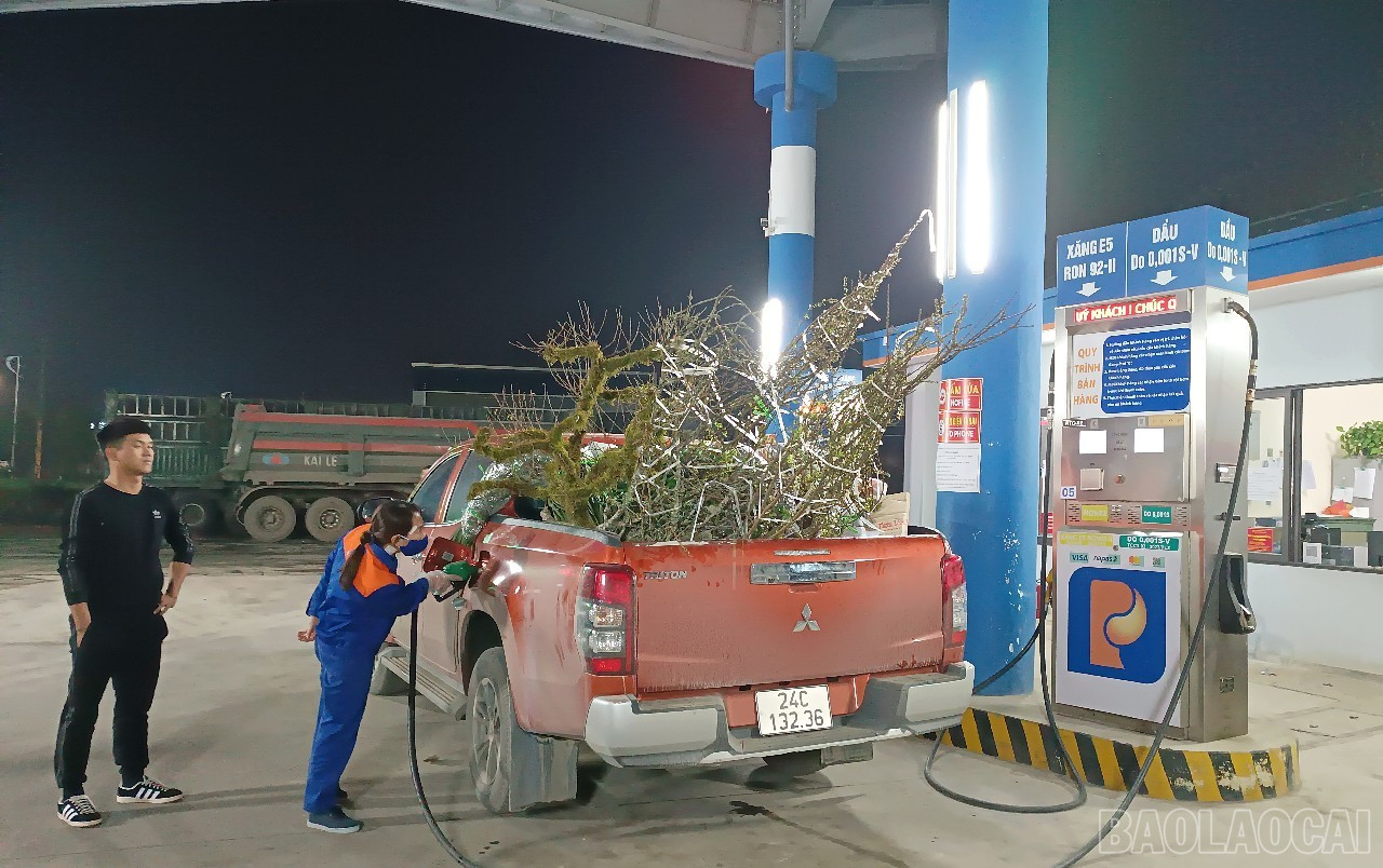 Các đơn vị kinh doanh xăng, dầu duy trì bán hàng liên tục, đáp ứng nhu cầu của người dân và doanh nghiệp. baolaocai-br_t1.jpg