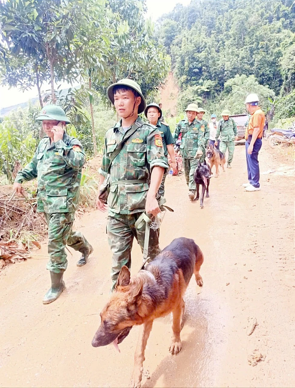 C2.jpg