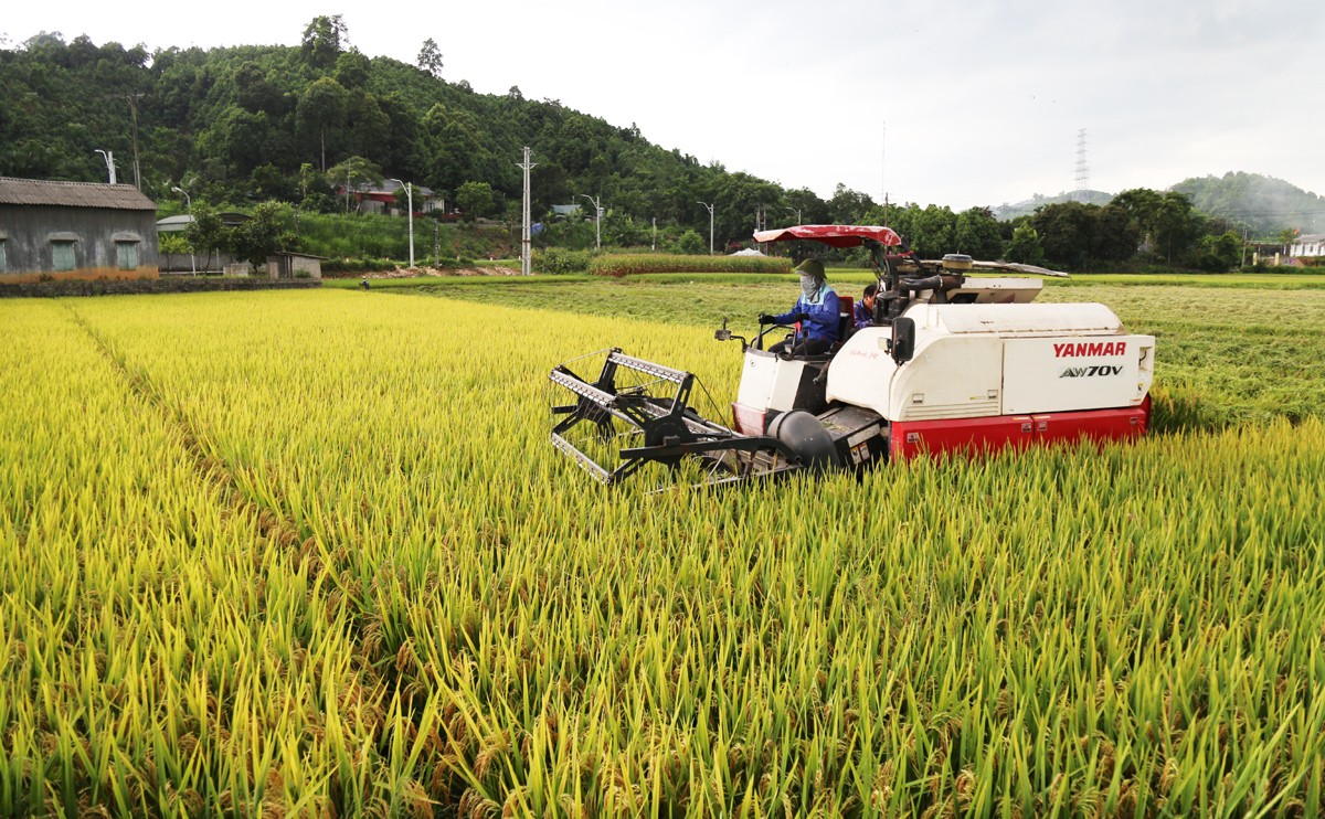 Bønder investerer modig i maskiner og innfører mekanisering i landbruksproduksjonen. nd11.jpg