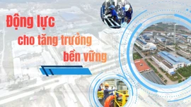 Động lực cho tăng trưởng bền vững