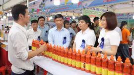 Lào Cai tổ chức "Tuần lễ nhận diện nông sản an toàn, sản phẩm OCOP của tỉnh Lào Cai" tại Nghệ An