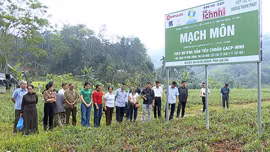 Trên 30 hội viên nông dân được tập huấn nâng cao kiến thức sản xuất