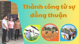 Thành công từ sự đồng thuận