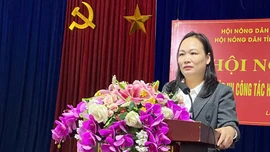 Trên 200 hội viên nông dân tham gia tập huấn nghiệp vụ công tác hội