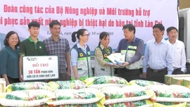 Trung tâm Khuyến nông Quốc gia hỗ trợ khẩn cấp giúp nông dân Lào Cai khôi phục sản xuất 
