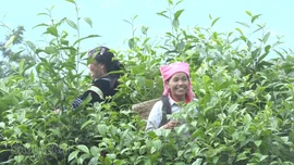 Lào Cai phấn đấu giảm tỷ lệ hộ nghèo đa chiều từ 2,5 - 3%/năm