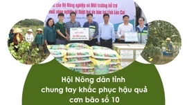 Hội Nông dân tỉnh chung tay khắc phục hậu quả cơn bão số 10