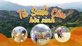 Tả Suối Câu hồi sinh