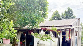 Đền Mẫu Thái Niên được xếp hạng Di tích lịch sử văn hóa cấp tỉnh