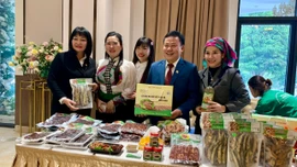 Liên minh Hợp tác xã tỉnh tổng kết công tác thành viên năm 2025