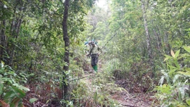 Lực lượng kiểm lâm cùng tổ xung kích bảo vệ rừng của các thôn thường xuyên tuần tra rừng trong thời điểm khô hanh.