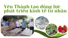 Yên Thành tạo động lực phát triển kinh tế tư nhân