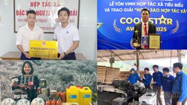 Thanh niên Lào Cai phát huy phong trào “5 tiên phong”