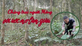 Chàng trai người Mông với ước mơ làm giàu