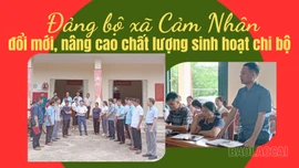 Đảng bộ xã Cảm Nhân đổi mới, nâng cao chất lượng sinh hoạt chi bộ