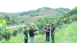 Gieo ấm no nơi đầu nguồn biên giới