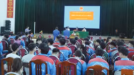 Tòa án nhân dân khu vực 1 - Lào Cai xét xử lưu động 03 vụ án hình sự liên quan đến ma túy