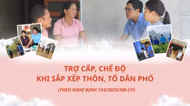 Trợ cấp, chế độ khi sắp xếp thôn, tổ dân phố