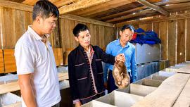 Phong Dụ Thượng khai mở tiềm năng từ nghị quyết