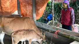 Lào Cai kêu gọi ủng hộ Quỹ “Vì người nghèo” năm 2026