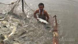 Gắn phát triển kinh tế với bảo vệ môi trường