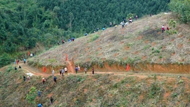 Nghĩa Tâm vào vụ trồng rừng 