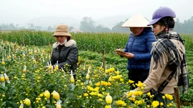 Từ vườn hoa đến những con đường xuân ở Chấn Thịnh