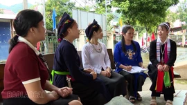 Hiểu luật để phát triển