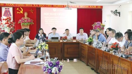 Các đại biểu dự hội nghị tại điểm cầu tỉnh Lào Cai.