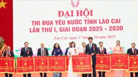 Trường Mầm non Tân Hợp - Ngọn cờ đầu của giáo dục Lào Cai