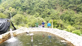 Sức sống mới ở Hồng Ngài